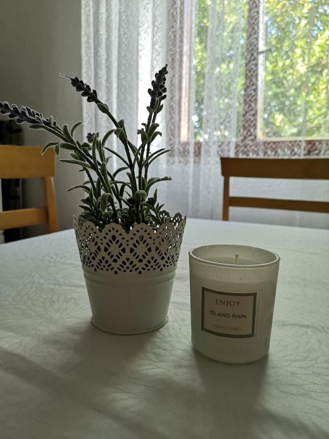 Apartment Kalavojna Rakalj 외부 사진